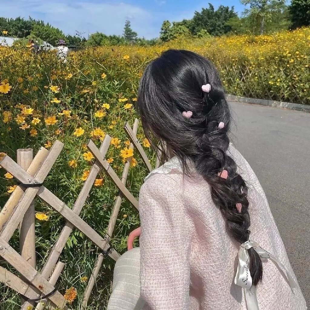 狮子护卫队第一季